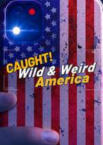 Watch Wild & Weird America FMoviesFree