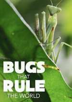 Watch Bugs that Rule the World FMoviesFree