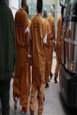 Watch First Week In FMoviesFree