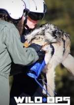 Watch Wild Ops FMoviesFree