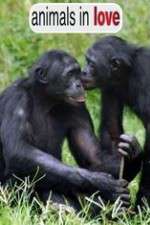 Watch Animals in Love FMoviesFree