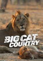 Watch Big Cat Country FMoviesFree