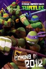 Watch Teenage Mutant Ninja Turtles FMoviesFree