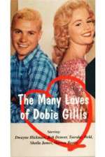 Watch The Many Loves of Dobie Gillis FMoviesFree