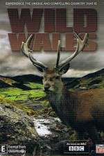 Watch Wild Wales FMoviesFree