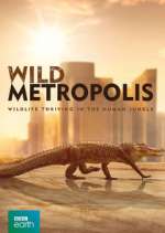Watch Wild Metropolis FMoviesFree