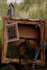 Watch Anna's Wild Life FMoviesFree