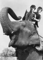 Watch Maya FMoviesFree