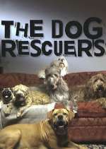 Watch The Dog Rescuers with Alan Davies FMoviesFree