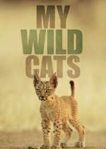 Watch My Wild Cats FMoviesFree