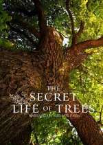 Watch The Secret Life of Trees FMoviesFree