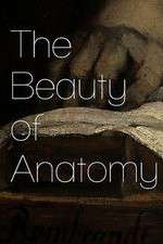 Watch The Beauty of Anatomy FMoviesFree