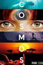 Watch Cosmos A SpaceTime Odyssey FMoviesFree