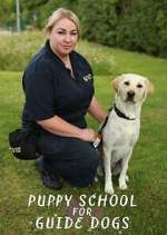 Watch Puppy School for Guide Dogs FMoviesFree