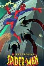 Watch The Spectacular Spider-Man FMoviesFree