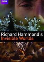 Watch Richard Hammond's Invisible Worlds FMoviesFree