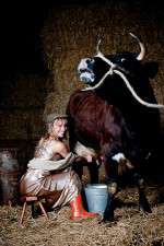 Watch Countryfile FMoviesFree