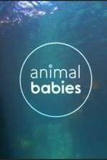 Watch Animal Babies FMoviesFree