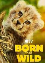 Watch Born to Be Wild FMoviesFree