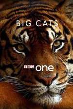 Watch Big Cats FMoviesFree