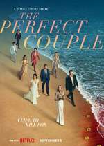Watch The Perfect Couple FMoviesFree
