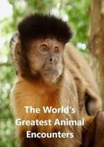 Watch World's Greatest Animal Encounters FMoviesFree