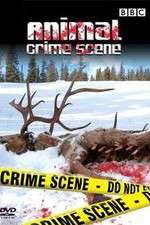 Watch Animal Crime Scene FMoviesFree