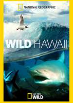 Watch Wild Hawaii FMoviesFree