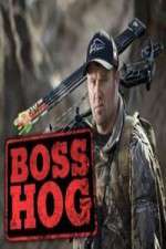 Watch Boss Hog FMoviesFree