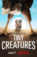 Watch Tiny Creatures FMoviesFree