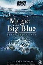 Watch The Magic of the Big Blue FMoviesFree