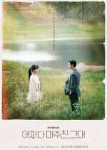 Watch Met You By Chance FMoviesFree