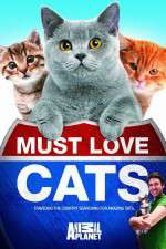 Watch Must Love Cats FMoviesFree