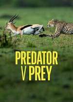 Watch Predator v Prey FMoviesFree