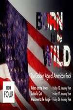 Watch Born to Be Wild: The Golden Age of American Rock FMoviesFree