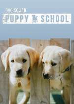 Watch Dog Squad: Puppy School FMoviesFree