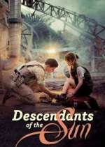 Watch Descendants of the Sun FMoviesFree