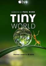 Watch Tiny World FMoviesFree