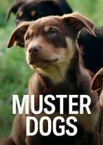 Watch Muster Dogs FMoviesFree
