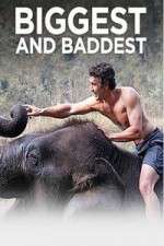 Watch Biggest and Baddest FMoviesFree