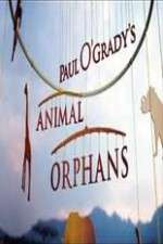 Watch Paul O'Grady's Animal Orphans FMoviesFree
