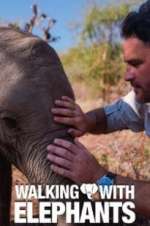 Watch Walking with Elephants FMoviesFree