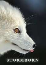 Watch Stormborn FMoviesFree