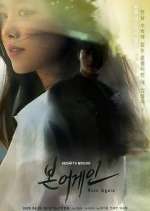 Watch Born Again FMoviesFree