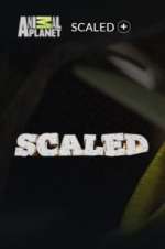 Watch Scaled FMoviesFree