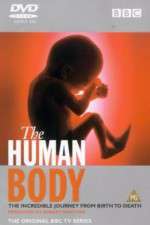 Watch The Human Body FMoviesFree