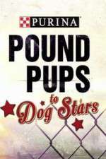 Watch Purina Pound Pups To Dog Stars FMoviesFree
