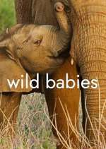 Watch Wild Babies FMoviesFree