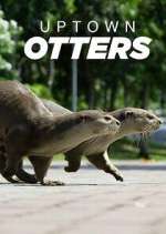 Watch Uptown Otters FMoviesFree