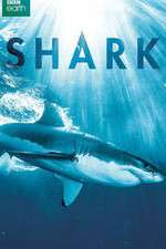 Watch Shark FMoviesFree